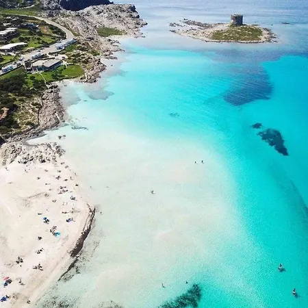 Nrh Garden Casa de Férias